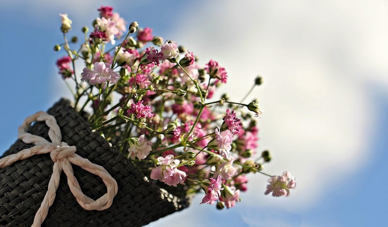Artistic plant arrangements