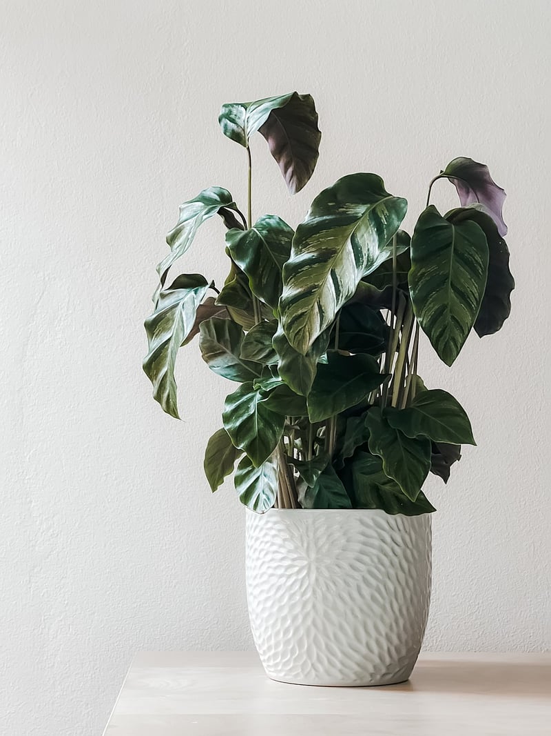 Vertical Planters